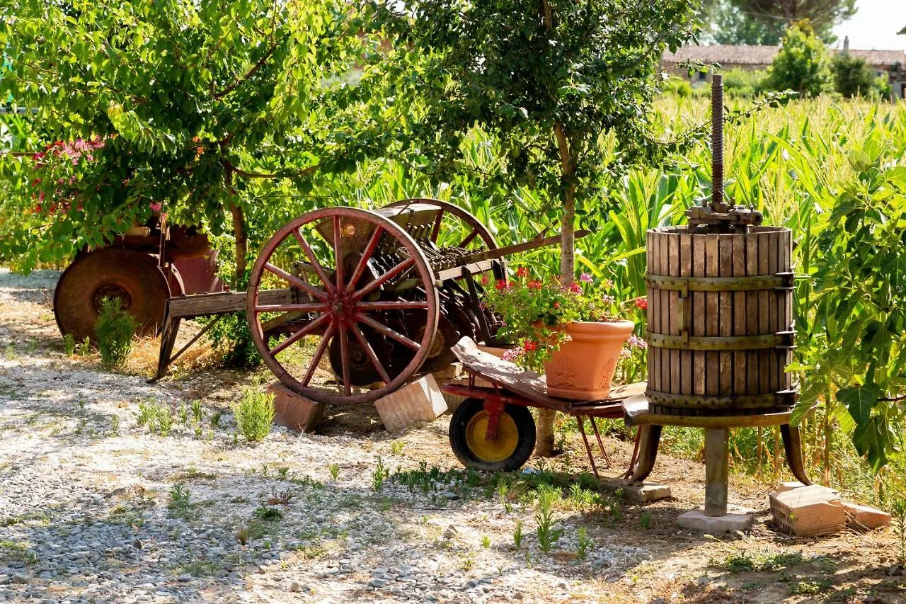 Fattoria Del Nonno Berto Βίλα Κορτόνα Κατάλυμα σε φάρμα